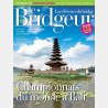 copy of Bridgeur January 2014 - Older issues BeBRIDGE