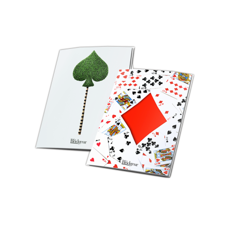 Protects forecast sheet - Remise BF 60%