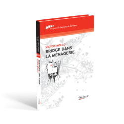 Bridge dans la Ménagerie Librairie