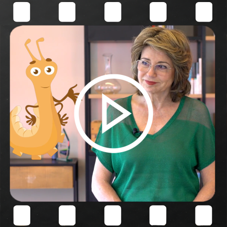 Pack des 10 vidéos - Le Bridge un jeu d'enfant - Geneviève Geneslay Vidéos d'apprentissage